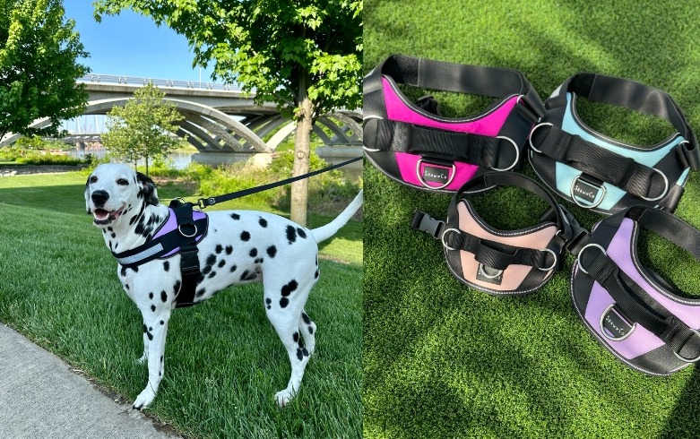 ShawnCo Essential Harness
